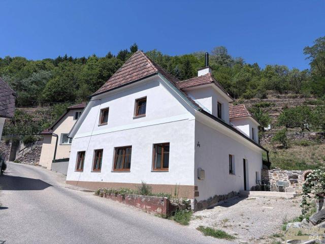 Wachauer Landhaus mit terrassiertem Naturgrundstück