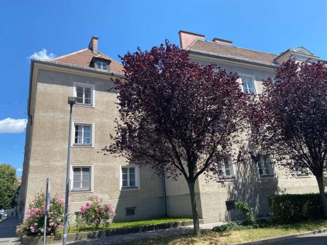 Wachaustraße 6/4