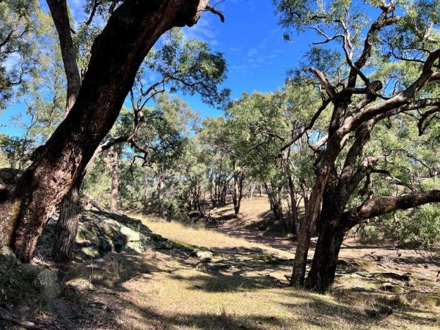 'Wakadoo' Ultimate Bush Escape with Greenbah Creek Frontage and Endless Adventure!