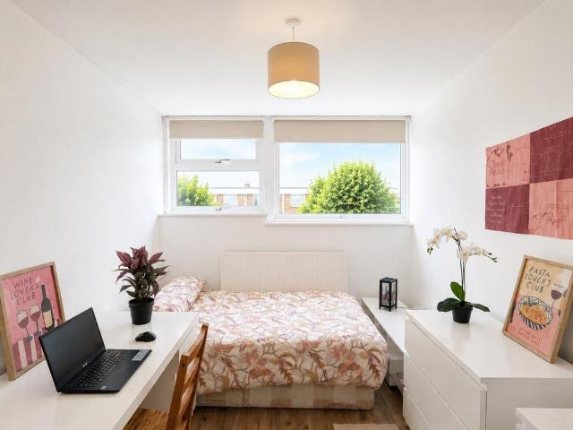 Walter Terrace 4 bed flat share to rent £1,000 pcm £231 pw