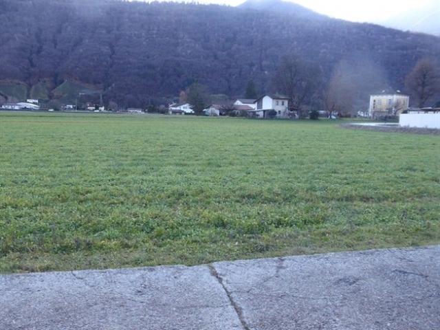 Wald, Wiese/Feld