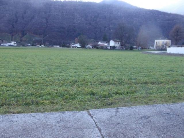 Wald, Wiese/Feld