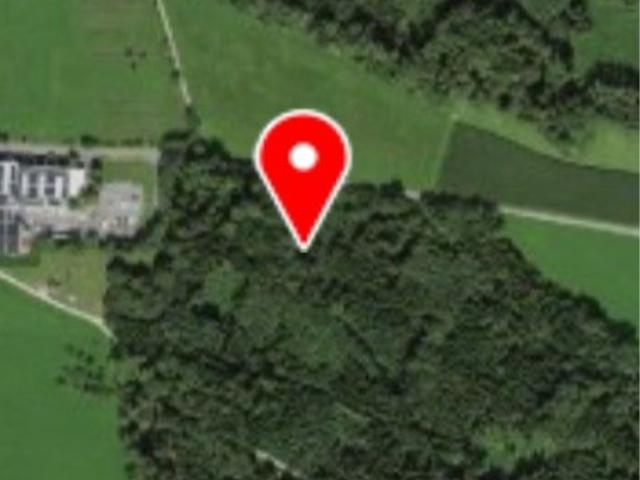 Wald