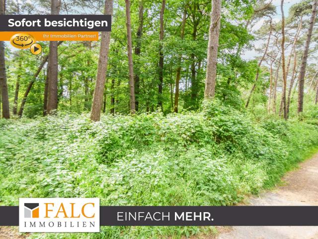 Waldareal in gewachsener Naturkulisse