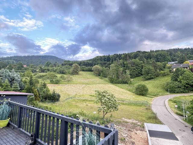 Waldblick Suite Apartment Balcony Black Forest