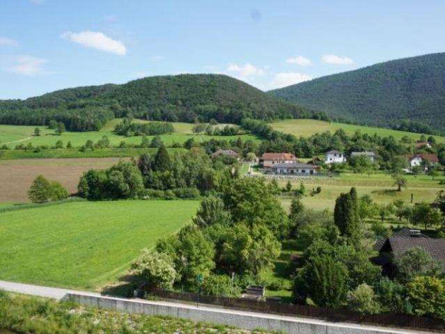 Wohnung Waldegg Waldegg 102203140