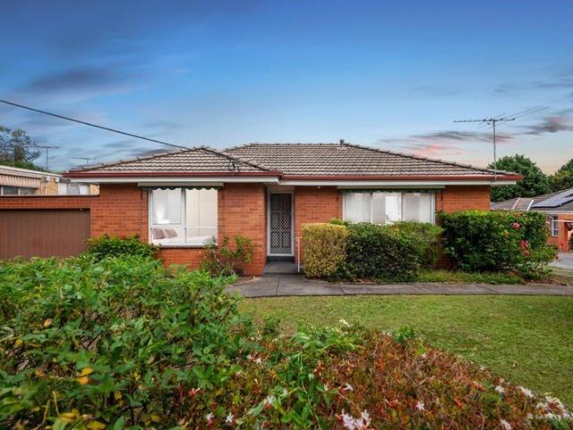 Walk to Everything A Box Hill Lifestyle Opportunity
