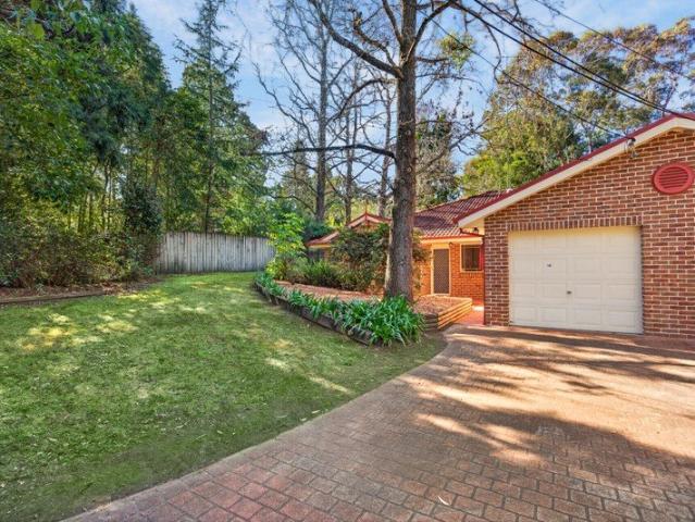 Walk to Lomatia park and Springwood village