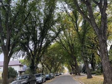 Walk to University of Alberta