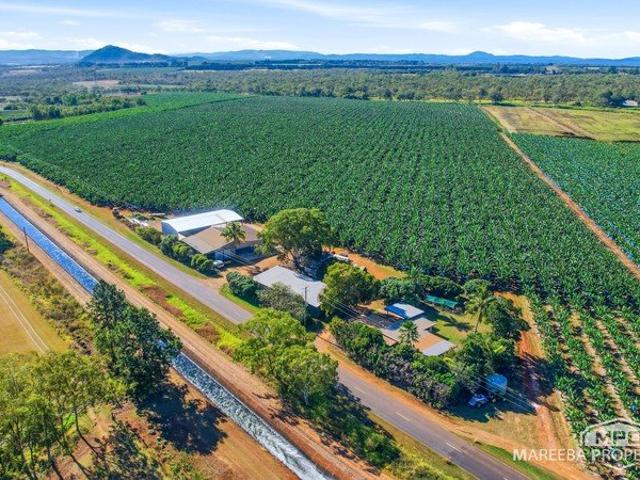 WALKAMIN BANANA FARM RESIDENCE, PACKING SHED & EXPANSION POTENTIAL