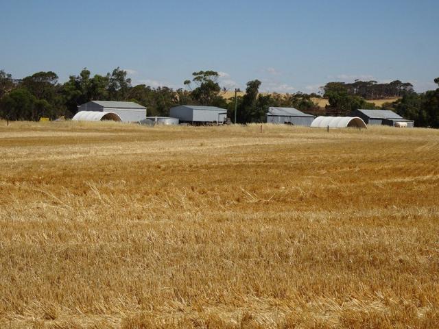 Walkabout Creek FARMLAND AND AGRIBUSINESS HUB