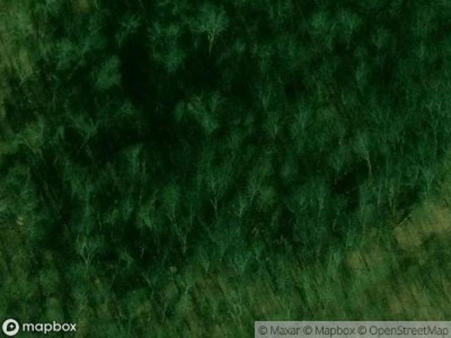 Walker Hollow Rd
