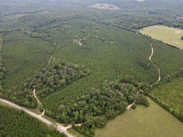 Walker Springs Rd # D, Jackson, AL 36545