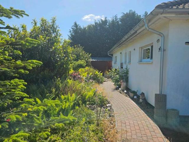 Walmdachbungalow,KFW55,Bj.2017