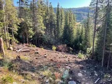 Wapiti Creek Road, Oliver, BC, V0H 1T8 vacant land for sale.