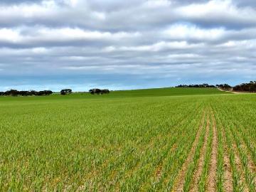 South Australia