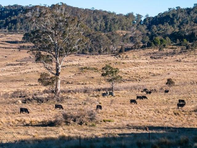 'Waratah Homestead' Lifestyle & Grazing in a scenic and peaceful Snowy Mountains Location