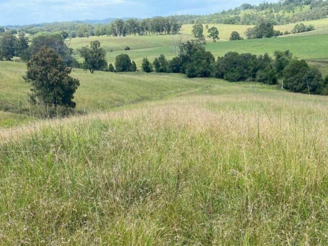 Wards River Farmlet