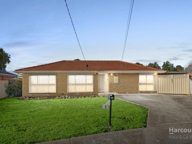 Warm Family Living on a Generous 592m² Block with Endless Potential
