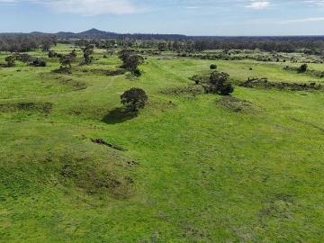 WARM HEALTHY COLAC DISTRICT CATTLE COUNTRY