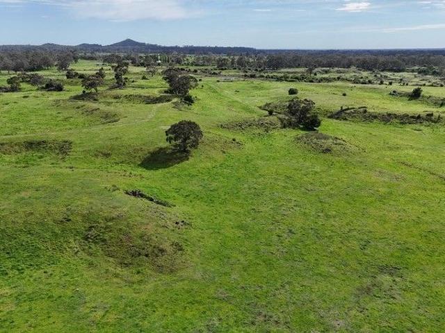 WARM HEALTHY COLAC DISTRICT CATTLE COUNTRY