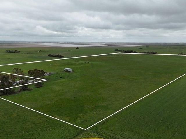 WARM HEALTHY COLAC DISTRICT CATTLE COUNTRY
