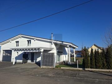 Villa zum Verkauf in Gundelsdorf - Parkplatz