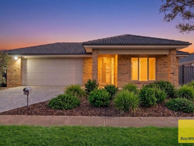 Warm & Welcoming East Facing Living in Innisfail Estate