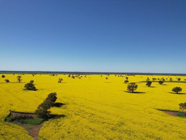 'WARRAWEE' AGGREGATION