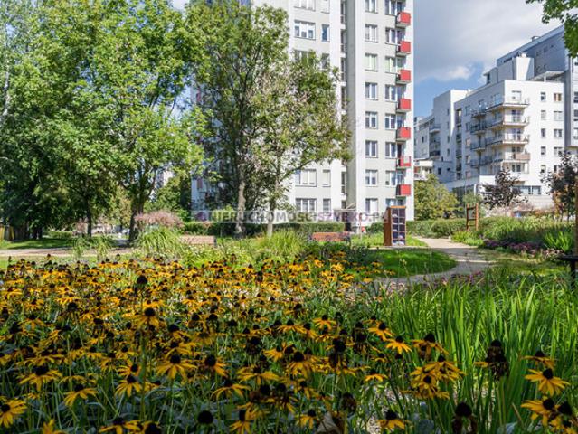 Warszawa, Mokotów