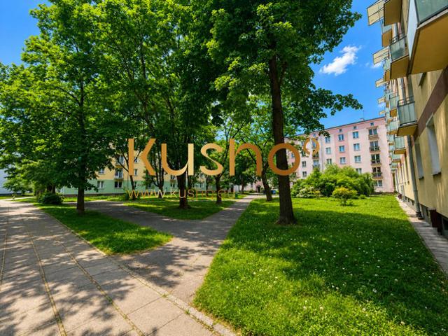 Warszawa, Ochota, Trzech Budrysów