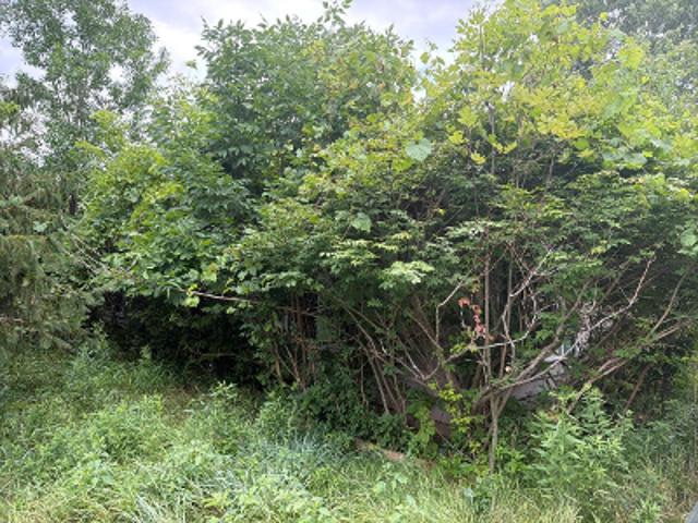 Washburn Rd