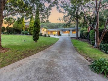 Wattle Park Wonder