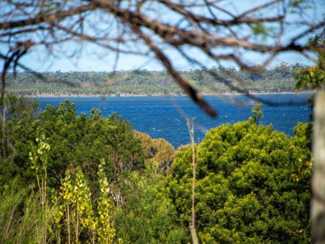 Water views