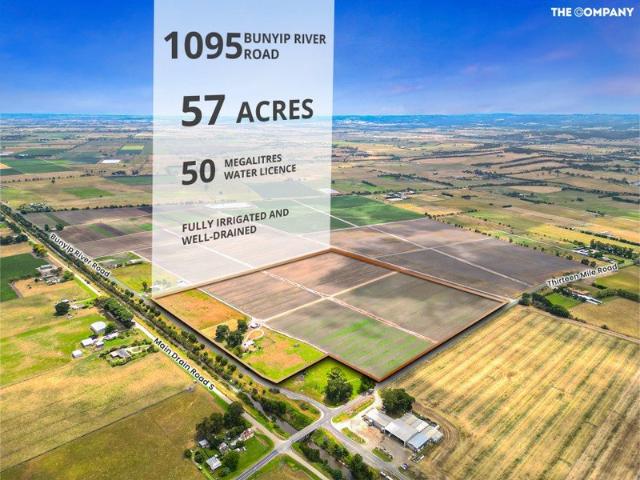 Water Secure Farming Opportunity | 57 Acres + 50 Ml Licence!