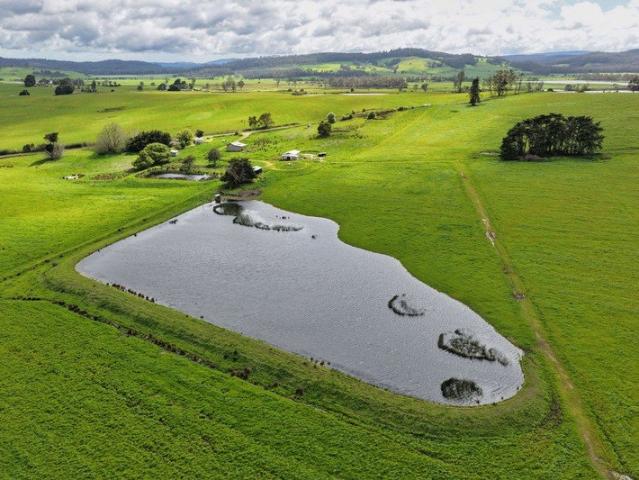 Water, Space and Possibility Exceptional 96ha Lifestyle Holding Near Deloraine