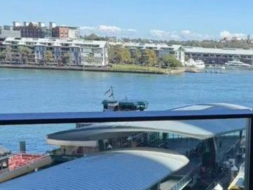 Woollahra, Sydney, New South Wales, Snapper Island