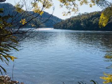 Berowra Waters, Hornsby Shire, Snapper Island
