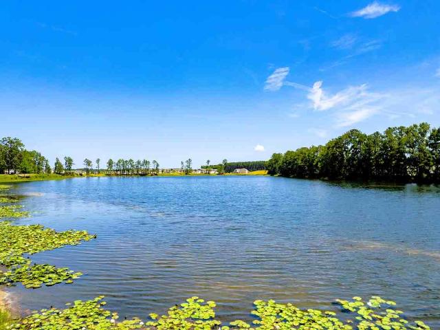 Waterside at Rice Hope Townhomes For Rent 3 Bedroom Home for Rent at 100 Lakeside Boulevard, Port Wentworth, GA 31407