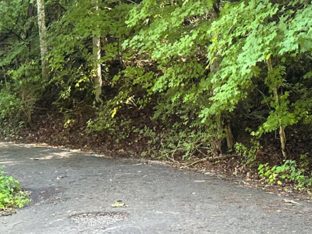 Wayland Rd