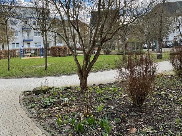 WBS erforderlich Barrierefreie 2 Zimmer Wohnung mit Balkon