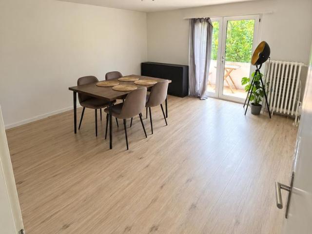 WG geeignete 3 Zimmer Wohnung nahe am Rhein in Schaffhausen | CHF 1400