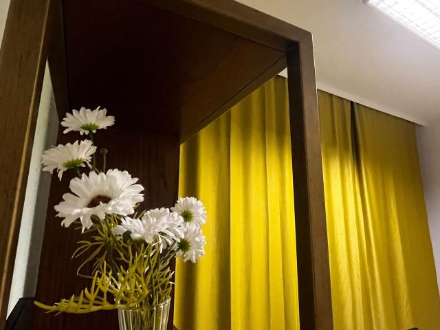 WG Room in Chemnitz Zentrum, Chemnitz Amsterdam Apartments for Rent