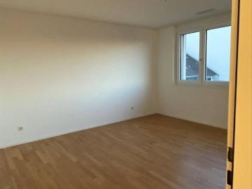 Hinderem Dorf, Frauenfeld, Bezirk Frauenfeld, Thurgau