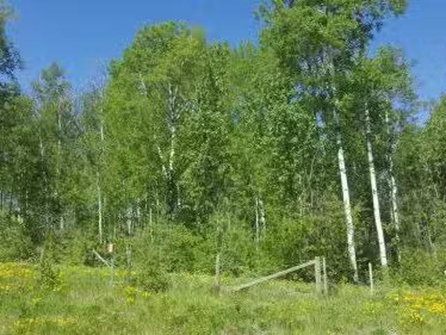 Weberville Road, Rural Northern Lights, County Of, AB, T8S 1R7.