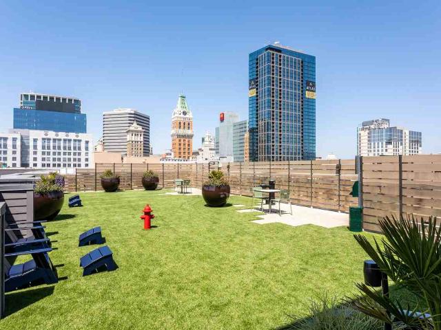 Webster Eleven Studio Apartment for Rent at 1100 Webster St, Oakland, CA 94607 Chinatown