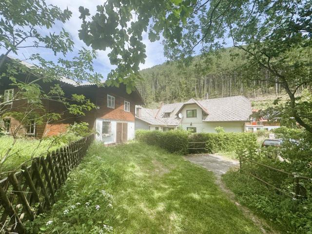 Weg von der Stadt hinein in die Natur