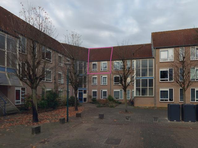 Wegedoorn 115