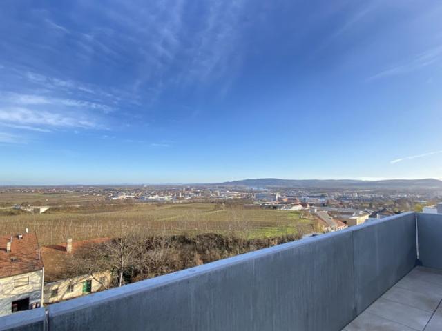 Weitblick ins Grüne: Ihr exklusives Zuhause im Danube Hills Krems