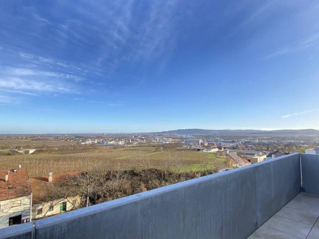 Weitblick ins Grüne: Ihr exklusives Zuhause im Danube Hills Krems